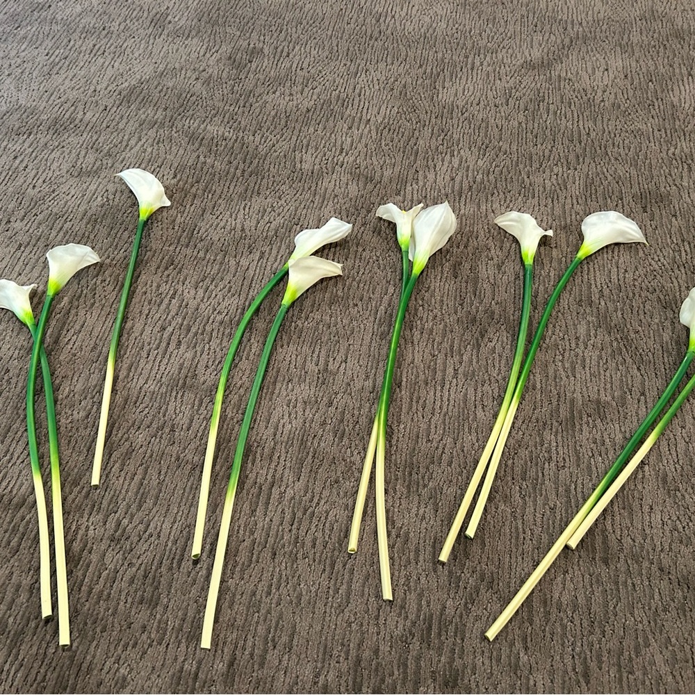 Elegant White Calla Lily Stems